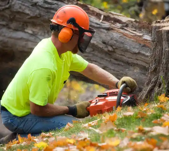 tree services Waterville